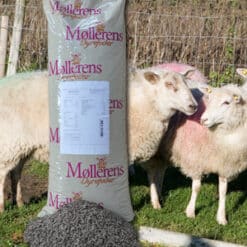 Sutteflaske med sut til lam 500 ml