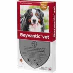 Bayvantic vet 40-60 kg 4 x 6,0 ml