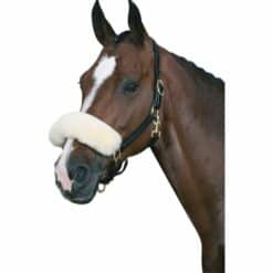 Hors halsrem Full