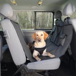 Pet Soft Crate Transportbur grå/sort