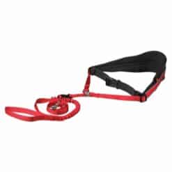Flexi New Classic S 5m snor