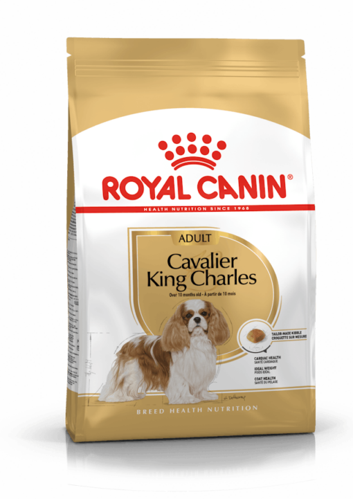 Cavalier King Charles Adult 7,5 kg