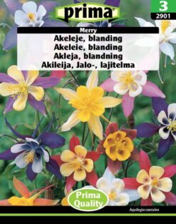 Blomsterkarse, blanding, Roland