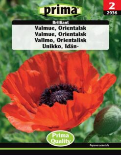 VitaPol FUGLESAND 5,4KG