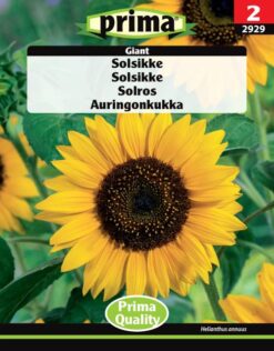 Desinfektion Virkon-S 50g