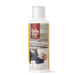 Hobby First King Parrot Mix 3 kg