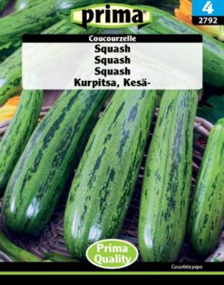 Squash, Coucourzelle