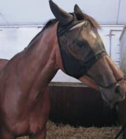 HG Maske m/mulebeskytter sort L