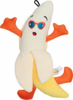 Companion squeaker carrot