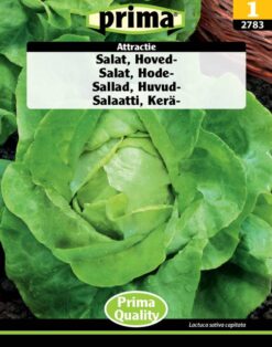 Salat, Hoved-, Attractie
