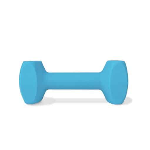 Coachi Training dumbbell light blue Large