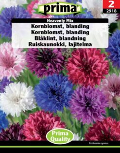 Kornblomst, blanding, Heavenly Mix