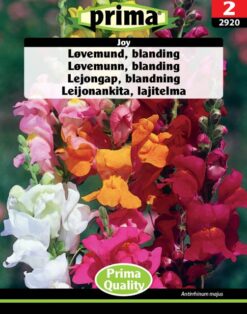 Løvemund, blanding, Joy
