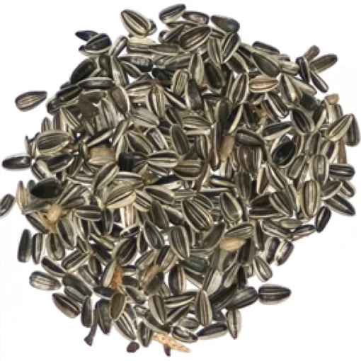 Solsikke 1500g
