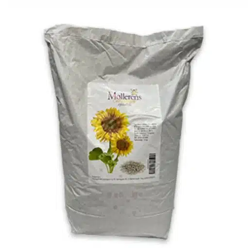 Afskallede solsikke 2,5 kg